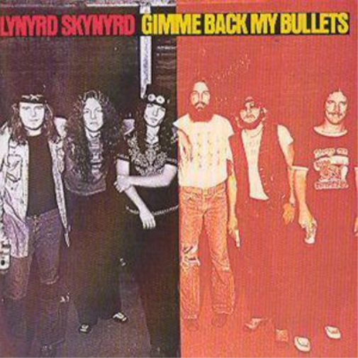 Gimme Back My Bullets