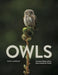Owls