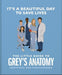 It's A Beautiful Day To Save Lives: The Little Guide to Grey’s Anatomy