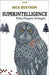 Superintelligence