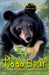Moon Bear