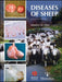 Diseases of Sheep