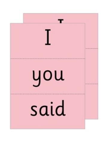 Read Write Inc. Phonics: Red Word Cards