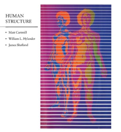 Human Structure