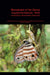 Monograph of the Genus Euptychia Hübner, 1818 (Lepidoptera, Nymphalidae, Satyrinae)