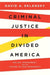 Criminal Justice in Divided America