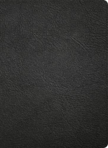 NASB Study Bible, Black Genuine Leather, Indexed