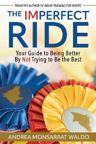 The Imperfect Ride