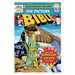 Picture Bible, The