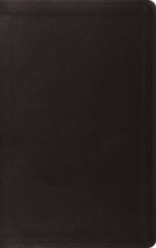 ESV Value Thinline Bible