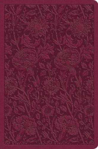 ESV Value Compact Bible