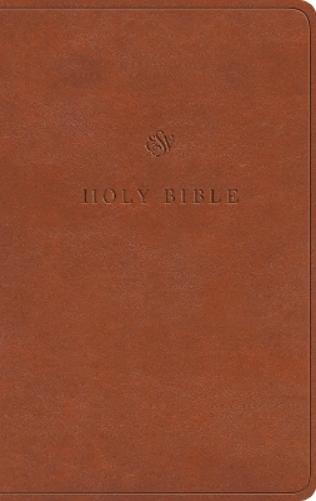 ESV Value Thinline Bible