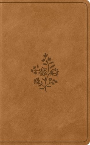 ESV Vest Pocket New Testament with Psalms and Proverbs, Red Letter