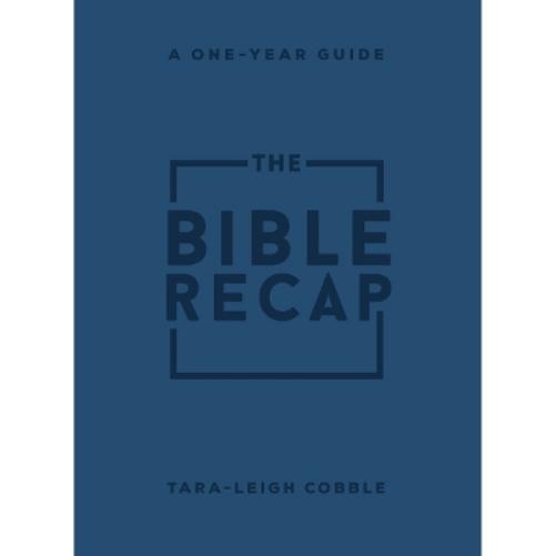 The Bible Recap – A One–Year Guide to Reading and Understanding the Entire Bible, Personal Size Imitation Leather