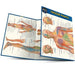Trigger points