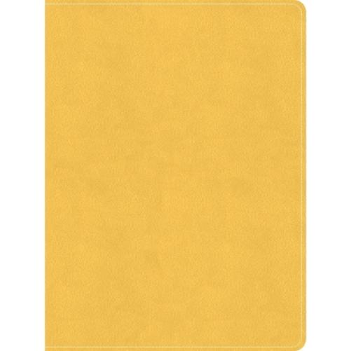 CSB Lifeway Women's Bible, Marigold LeatherTouch
