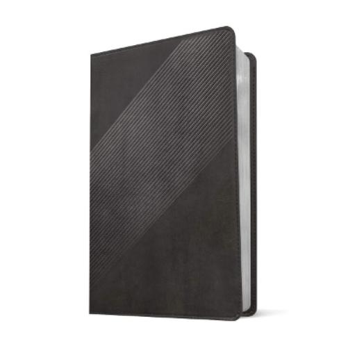 NLT Student Life Application Study Bible, Filament Enabled (Leatherlike, Charcoal Gray Striped, Red Letter)