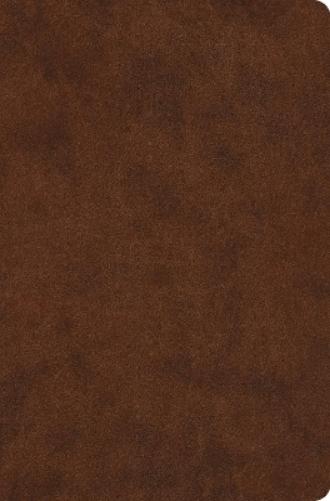 ESV Value Compact Bible, Red Letter