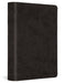 ESV Value Large Print Compact Bible, Red Letter