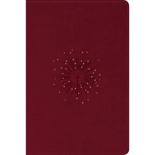 NLT Personal Size Giant Print Bible, Filament Enabled (Leatherlike, Aurora Cranberry, Red Letter)
