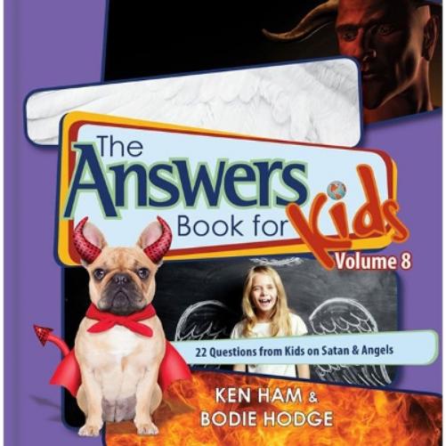 Answers Book For Kids Volume 8, The
