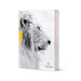 NLT Courage for Life Study Bible for Men (Softcover, Filament Enabled)