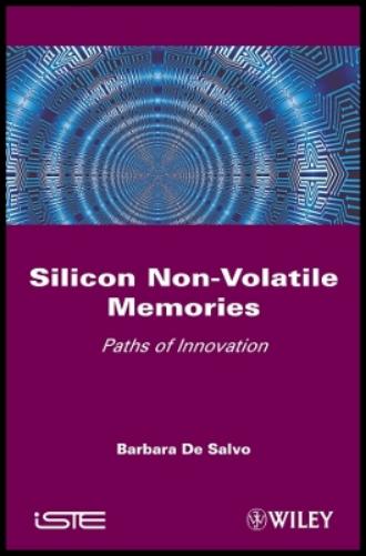 Silicon Non-Volatile Memories