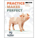 Practice Makes Perfect: Level 1
