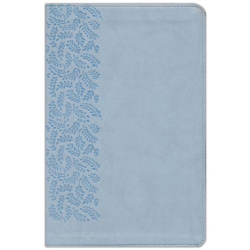 CSB (in)courage Devotional Bible, Blue LeatherTouch