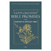 God's Greatest Bible Promises for Comfort in Difficult Times