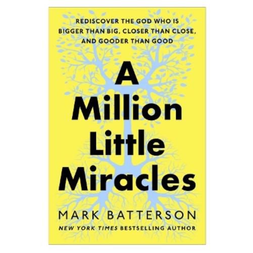 A Million Little Miracles