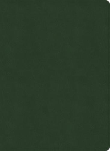 NASB Study Bible, Olive Leathertouch
