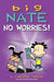 Big Nate: No Worries!