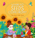 Where Do Seeds Come From? The Plant Life Cycle