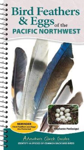 Bird Feathers & Eggs of the Pacific Northwest