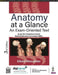 Anatomy at a Glance