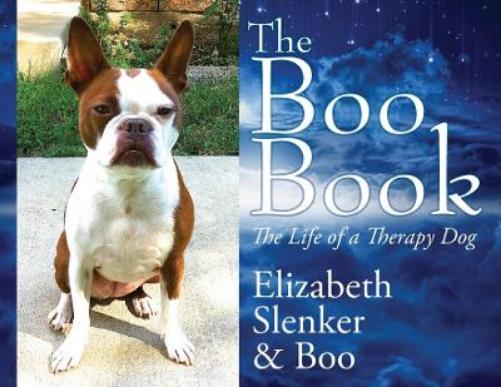 The Boo Book