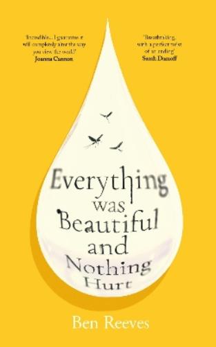 Everything was Beautiful and Nothing Hurt