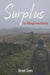 Surplus to Requirements