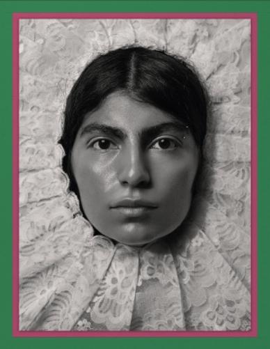 Pieter Henket: Birds of Mexico City