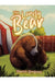The Lonely Bear