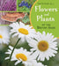 Flowers and Plants of the British Isles