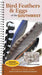 Bird Feathers & Eggs of the Southwest