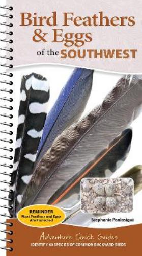 Bird Feathers & Eggs of the Southwest