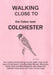 Walking Close to the Colne Near Colchester