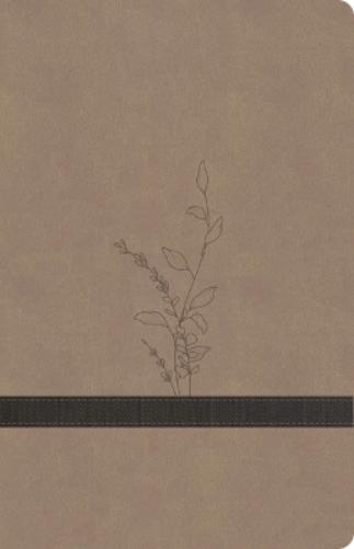 KJV Large Print Personal Size Reference Bible, Earthen Suedesoft Leathertouch, Indexed