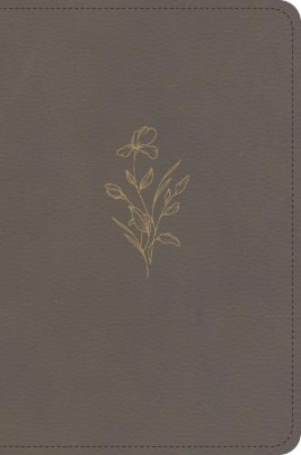 KJV Large Print Compact Reference Bible, Clay Leathertouch