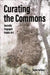Curating the Commons