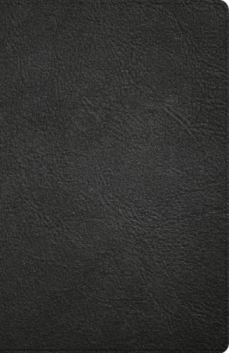 CSB Large Print Personal Size Reference Bible, Digital Study Edition, Easy-To-Read Optimal Type, Black Genuine Leather, Indexed
