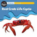 Science: Growing - Red Crab Life Cycle